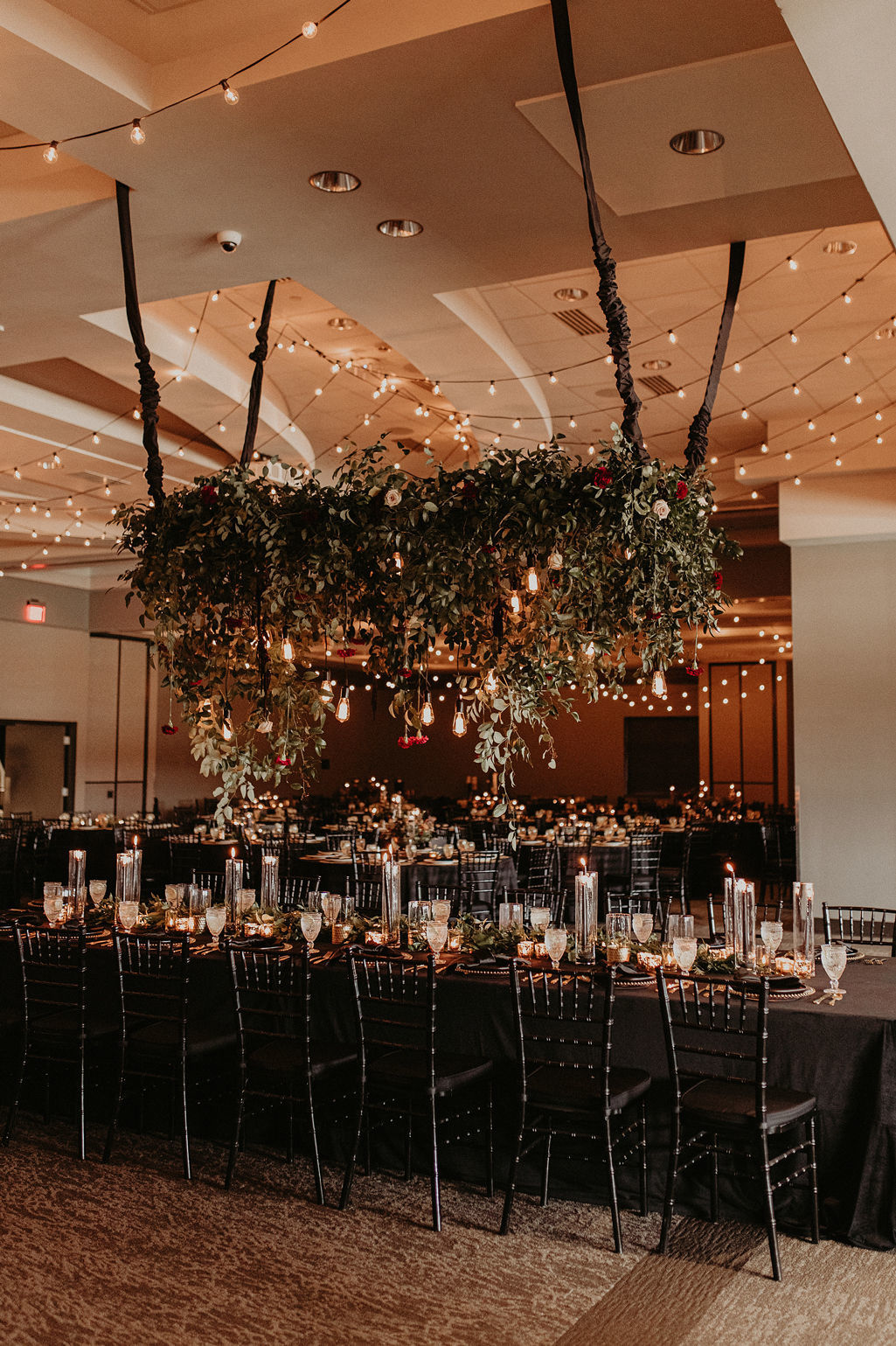 HayleyDolsonPhoto_1027-(0358).jpg